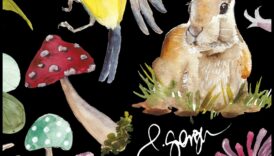 النزوة الهامسة: اكتشافات الحضانة المبهجة