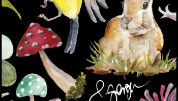 النزوة الهامسة: اكتشافات الحضانة المبهجة