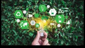 مافريكس الخضراء: رائدة في عالم الفنون الإبداعية والحلول الصديقة للبيئة