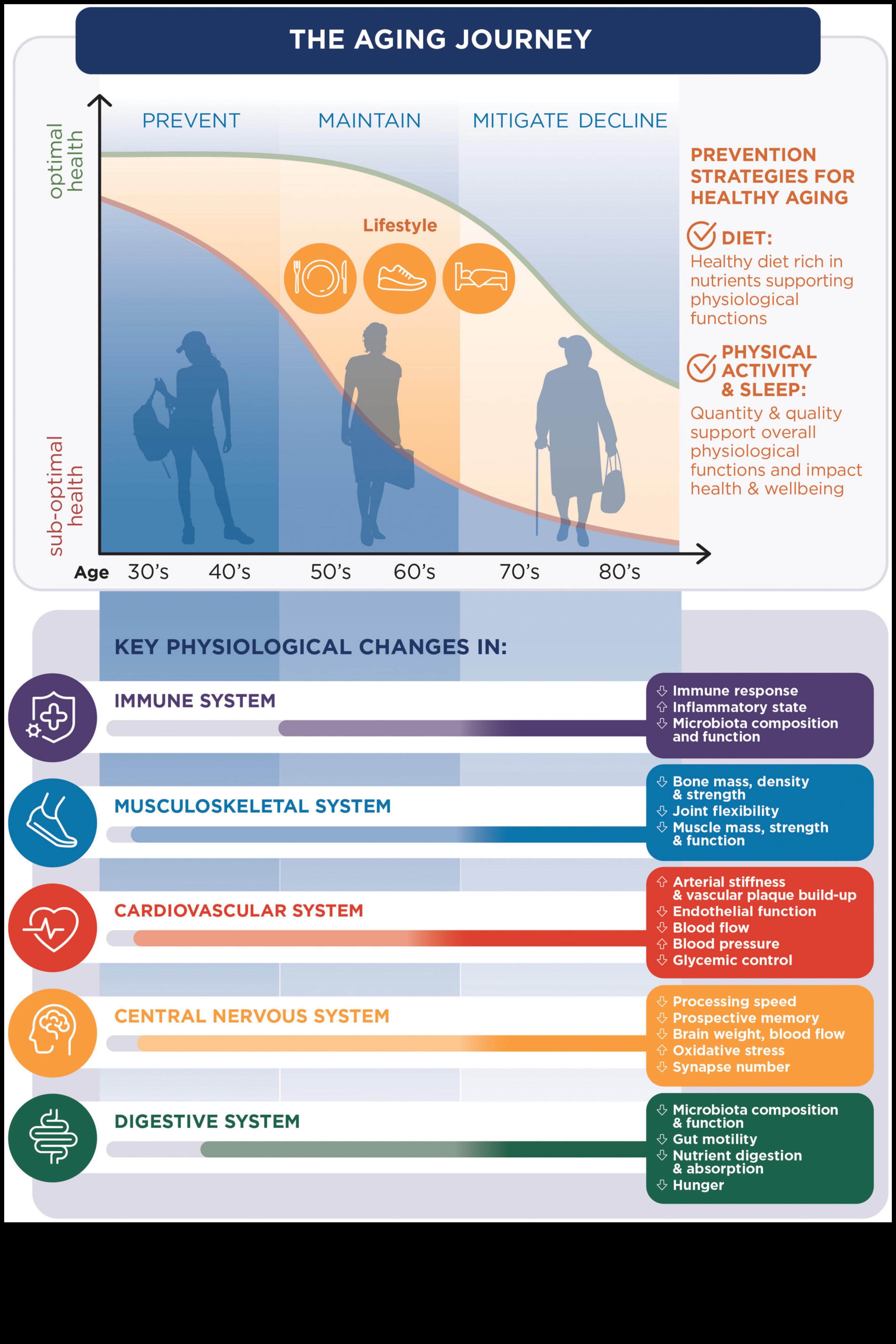 تغذية طول العمر: مغامرات الطهي في تغذية الشيخوخة