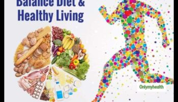 التغذية المتوازنة، الحياة المتوازنة: جوهر العناصر الغذائية