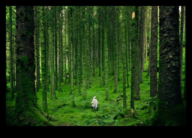 العافية في كل صخرة: سحر المعادن الأساسية