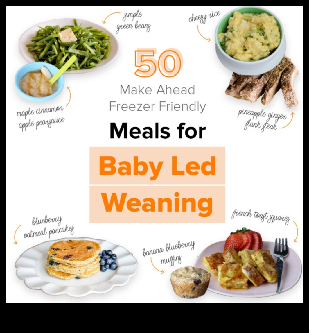 لقم صغيرة: صياغة المأكولات الشهية لطفلك الصغير