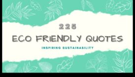 الحوارات المرئية في التكنولوجيا الخضراء: محادثات في الابتكار الصديق للبيئة