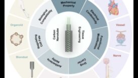 نهضة النانو الطريق إلى الأمام الإجابات الدقيقة 1 نهضة النانو: إحياء فن صياغة الحلول الدقيقة